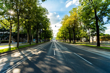 road, asphalt, tree, nature, trees, landscape, forest, highway, street, autumn, way, travel, country, sky, green, rural, park, countryside, line, drive, empty, fall, transportation, path, summer