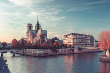 Fototapete - Notre Dame de Paris, France