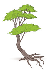 Poster - Beautiful tree vector  on a white background.