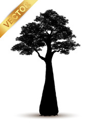 Wall Mural - tree silhouette isolated on white background.