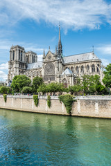 Poster - Cathedral of Notre Dame in Paris and the Seine river