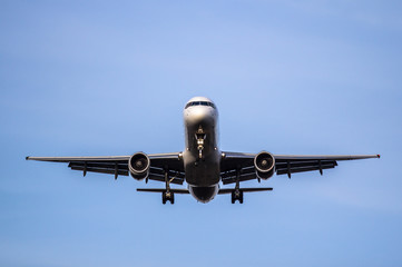 Wall Mural - Airplane ist landing