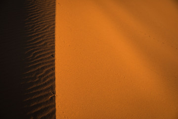 Wall Mural - Sahara Desert in Morocco