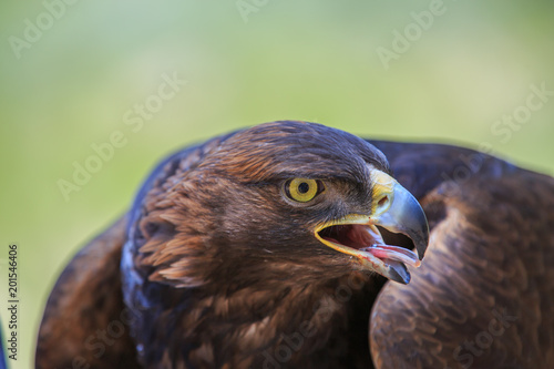 North America United States Oregon Eastern Oregon Bend