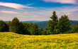 © Pellinni - forest on a grassy meadow in mountains. beautiful summer landscape with Krasna mountain in the far distance under the blue sky with some clouds
