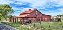 Old Red Barn With Cattle..