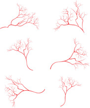 Human Eye Veins, Vessel, Blood Arteries Isolated On White Vector. Set Of Blood Veins, Image Of Health Red Veins Illustration.