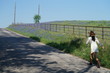© Nicholas & Geraldine - Woman walking on a road with Texas Bluebonnet wildflowers blooming during spring time