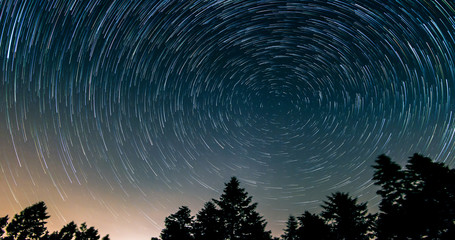 Wall Mural - star trails over the night sky - comet mode, time lapse of star trail, pine trees in the foreground,
