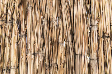  Background of linked reeds