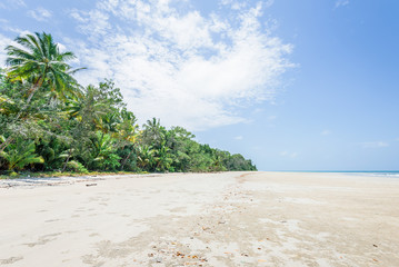 Magical palm trees view on warm summer day at a relaxing beach with white sand and crystal clear water and a rain forest in the background with coconut palms near wild ocean sea, Daintree, Australia