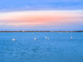 Saltworks in San Pedro del Pinatar at sunset.