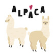 Two cute alpacas illustration with lettering, isolated on white background. Vector clipart.