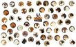 58 Breeds of dogs Isolated objects Round frame