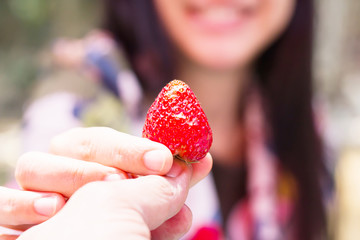 Wall Mural - One strawberry in hand, giving strawberry to girlfriend, hand pass strawberry to smiling women hand