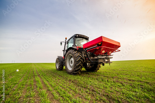 Foto Farmer in tractor fertilizing wheat field at spring with npk