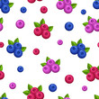 Seamless pattern with berries on white background.  Colorful vector illustration.