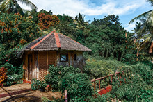 Small Wooden House In The Jungle