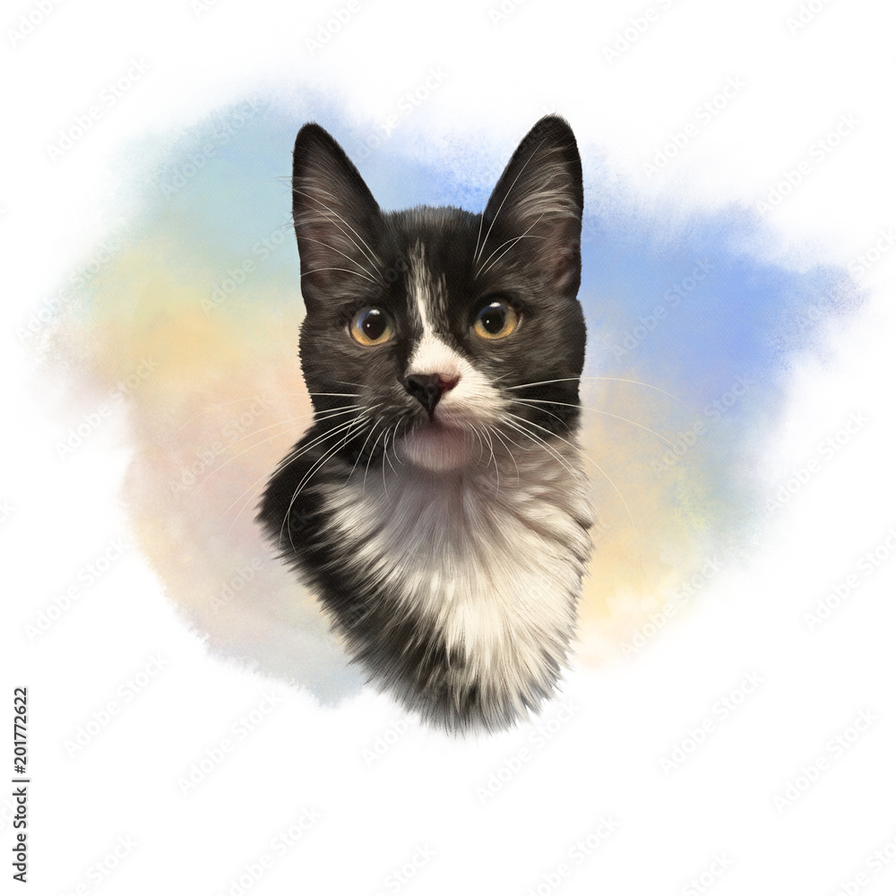 Cute black and white cat with big eyes. Portrait of pet. Realistic drawing  of kitten on watercolor background. Good for print T-shirt. Hand painted  illustration. Watercolor animal art collection: Cats Stock Illustration |, image size:1000x1000