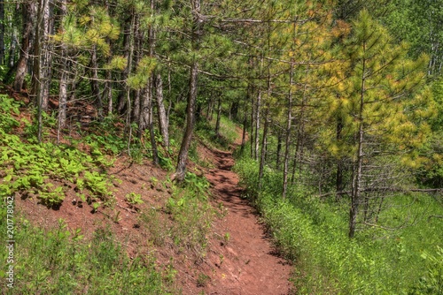 Fotografie, Obraz Lester Park is a popular City Park in Duluth, Minnesota during all Seasons