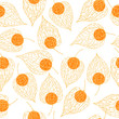© rraya - Hand drawn  Physalis fruit ( Physalis peruviana).   Vector seamless pattern.