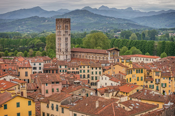 Fototapete - Medieval town Lucca, Tuscany, Italy