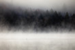 Fog over lake with a loon on the foreground. Lax Lake, Minnesota, USA. 