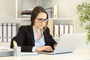 Wall Mural - Single office worker working online with a computer