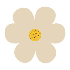 beautiful flower decorative icon vector illustration design