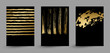 set of banners with gold texture abstract decoration formed by blots on the black background.