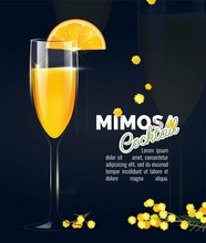 Flyer Or Poster Design With Mimosa Cocktail On Black Background. Vector Illustration