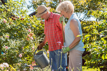 Active happy senior woman looking at camera while standing next to her husband during work in the garden in a sunny day of summer