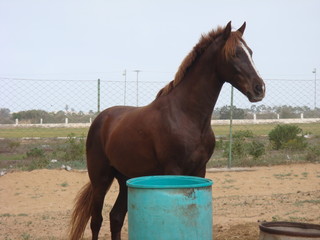 Agadir - Morocco