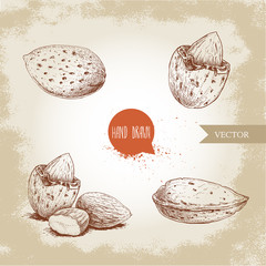 Sticker - Hand drawn sketch style almond set. Single, group  seeds and almond in nutshell. Organic food vector illustrations collection isolated on old background.