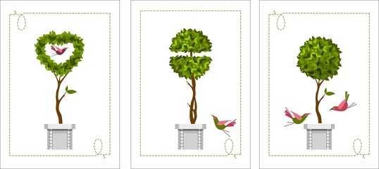 set of topiary cards