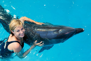 Wall Mural - Coach swims in the water with dolphins. Dolphin Assisted Therapy.