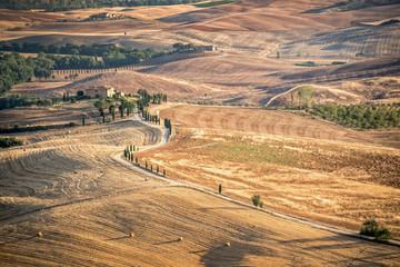 Wall Mural - beautiful typical countryside summer landscape in tuscany, italy