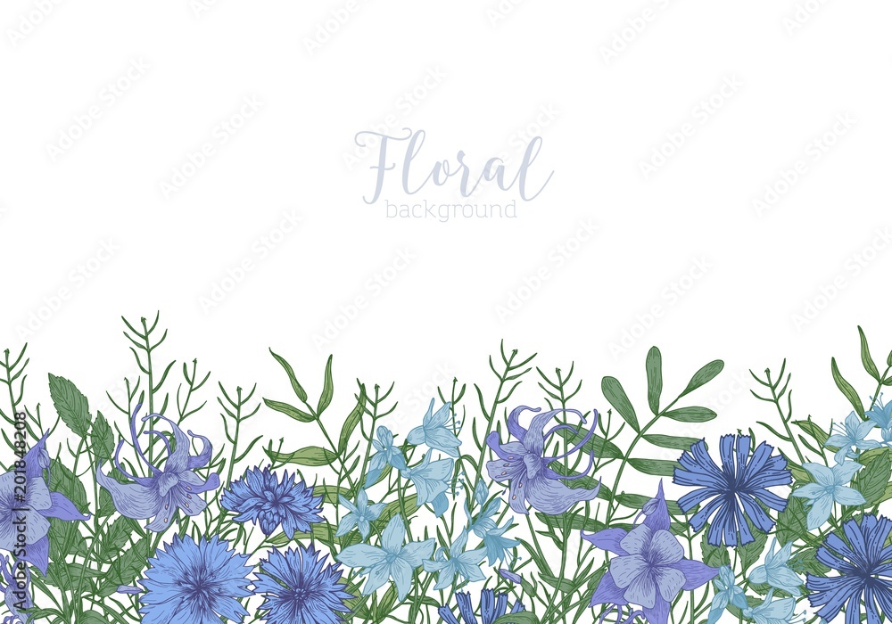 Rectangular background decorated with blue wild blooming flowers and ...