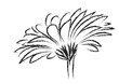 abstract gerbera flower vector illustration, floral natural styled flower sample