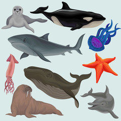 Wall Mural - Collection of sea animals, marine fish and creatures walrus, squid, jellyfish, whale, killer, tortoise, seal, starfish vector Illustrations