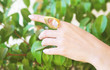 © photo_stella - woman hand wearing a big gold ring - green nature leaves background