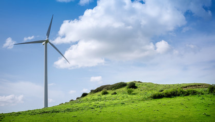 windturbine on a meadow