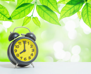 Wall Mural - Closeup yellow alarm clock show the time  in 8 o'clock on white desk on blurred leaves in garden view textured background