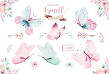 Watercolor Colorful Butterflies, Isolated On White Background. Blue, Yellow, Pink And Red Butterfly Illustration.