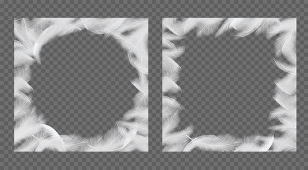 Feathers frame set vector realistic illustration