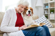 © Seventyfour - Positive smiling attractive elderly woman in casual clothing sitting on sofa and reading book while embracing cute dog at home