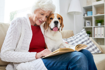 Positive smiling attractive elderly woman in casual clothing sitting on sofa and reading book while embracing cute dog at home