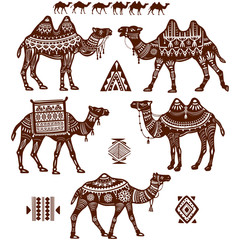 Wall Mural - Set of stylized figures of Camels