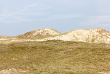 Fototapeta  - Dünen auf Norderney