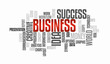 © Yevgeniia Medvedieva - Success business idea. Web marketing word cloud concept. Typography design text block. Composition from words for web